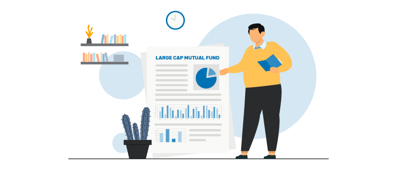 what is large cap mutual fund