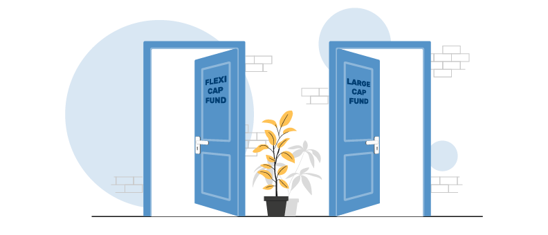 large cap and flexi cap fund difference