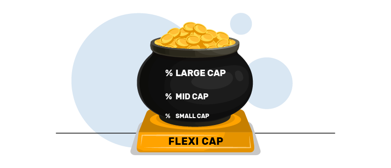 invest in flexi cap fund