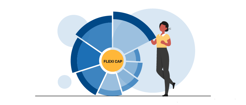mutual fund flexi cap portfolio
