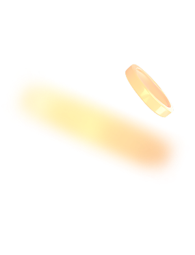 coin icon