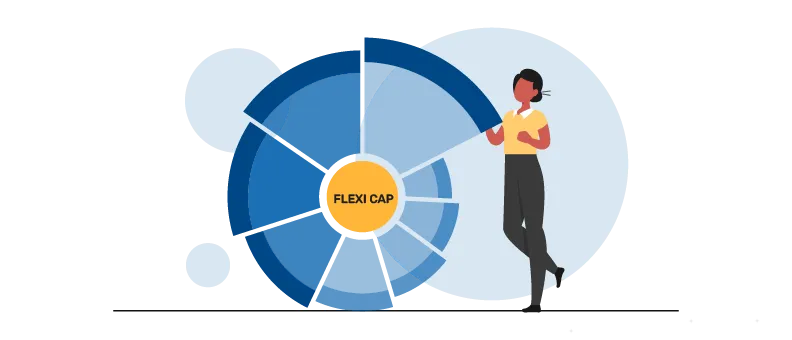 mutual fund flexi cap portfolio