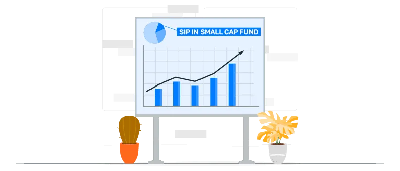 small cap fund?