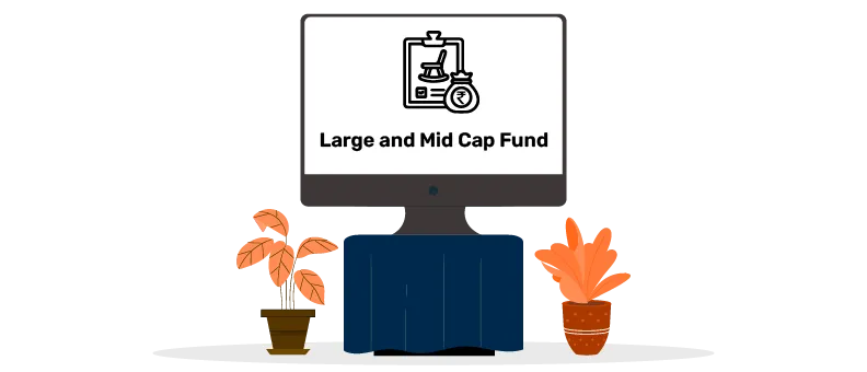 large and mid cap fund