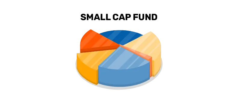 small cap mf
