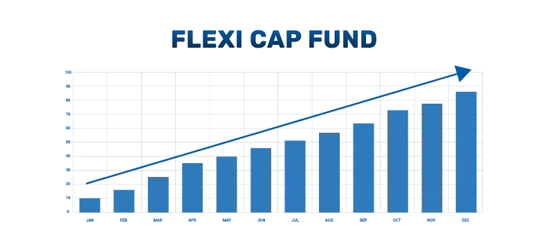 flexi cap fund